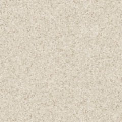 Tarkett Homojen PVC Zemin Kaplama Eclipse Premium MD WARM BEIGE 0036