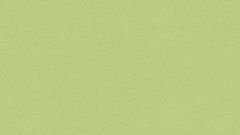 Tarkett Heterojen PVC Zemin Kaplama Ruby 70 Acoustic Nature SPRING GREEN 2040